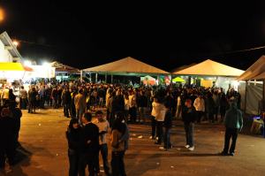 Gian e Giovani na Expo Araçá — Nova Araçá 2010 · foto 7
