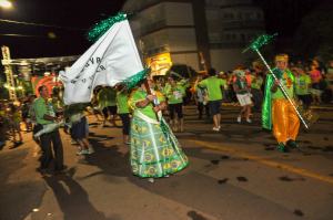 Carnaval Casca 2011 — Casca 2011 · foto 6